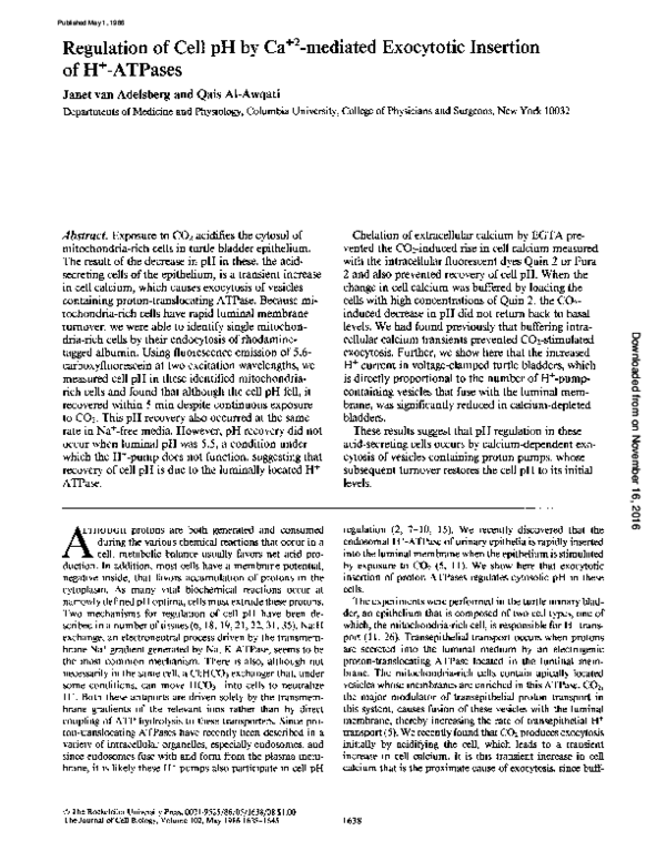 (PDF) Regulation of cell pH by Ca+2-mediated exocytotic insertion of H+ ...