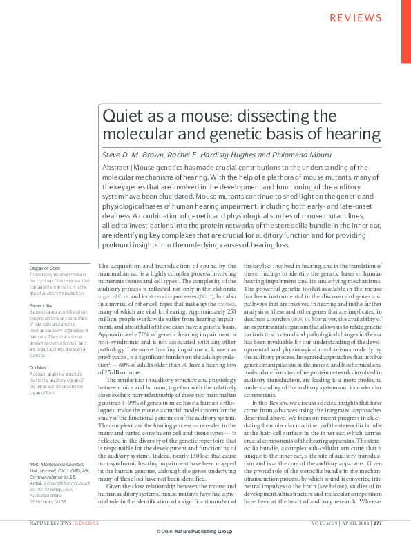(PDF) Quiet as a mouse dissecting the molecular and basis of