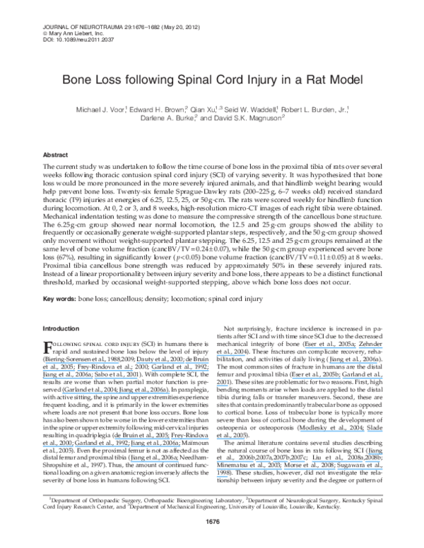 (PDF) Bone Loss following Spinal Cord Injury in a Rat Model