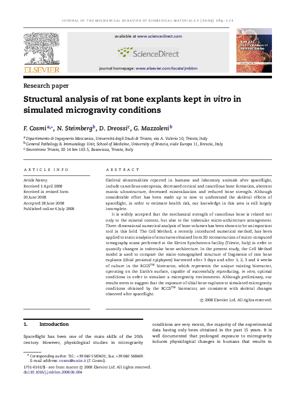 (PDF) Structural analysis of rat bone explants kept in vitro in ...