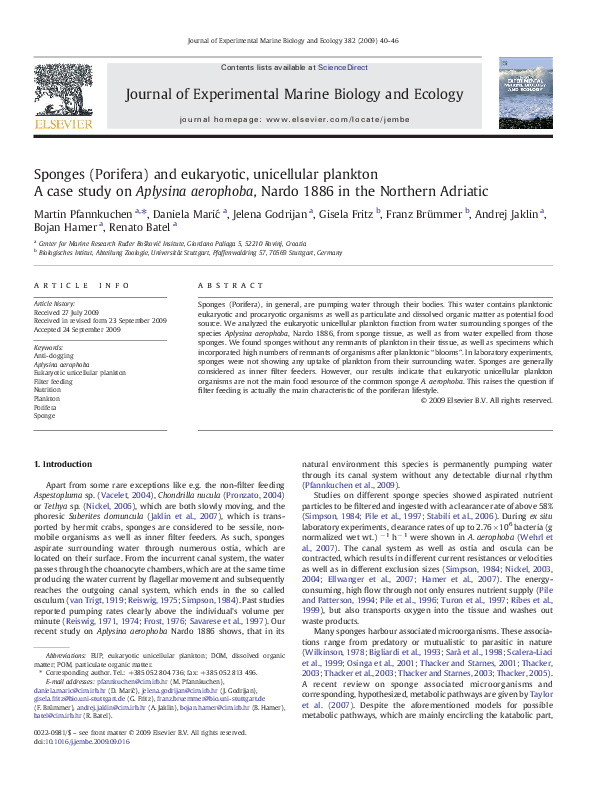 PDF) Sponges (Porifera) and eukaryotic, unicellular plankton 