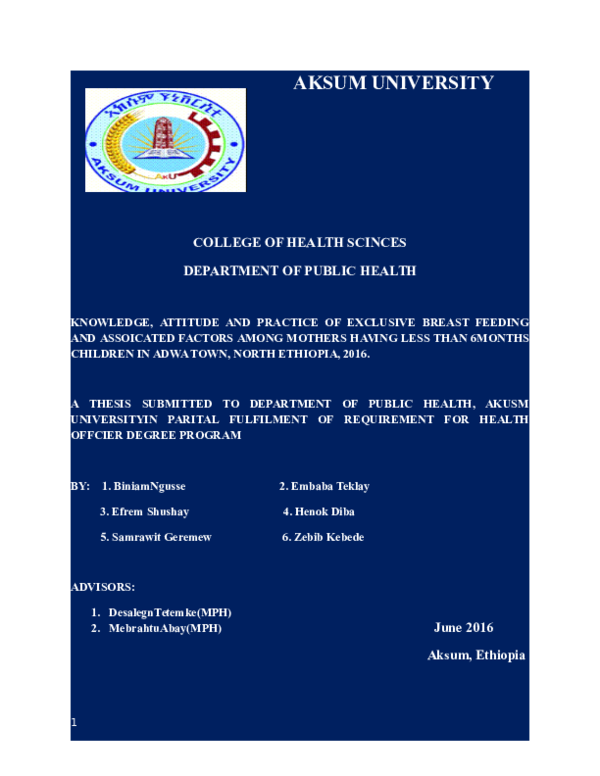 Abay gadisa thesis 02 image