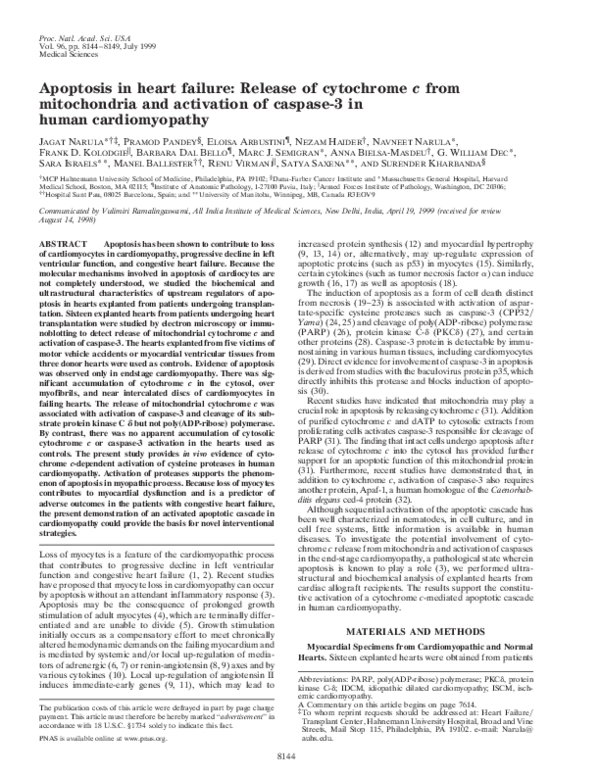 (PDF) Apoptosis in heart failure: release of cytochrome c from ...