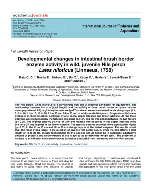 (PDF) Developmental changes in intestinal brush border enzyme activity