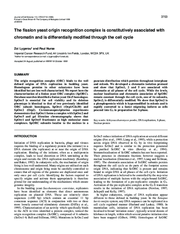 (PDF) The fission yeast origin recognition complex is constitutively ...