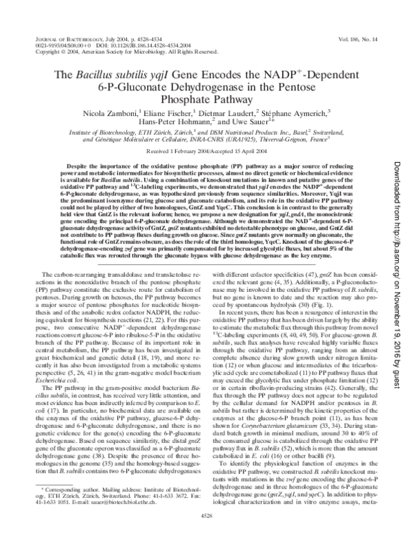 (PDF) The Bacillus subtilis yqjI Gene Encodes the NADP+-Dependent 6-P ...
