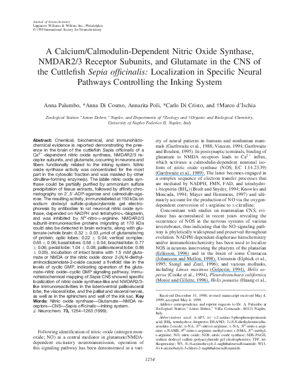 Calmodulin-binding protein picture