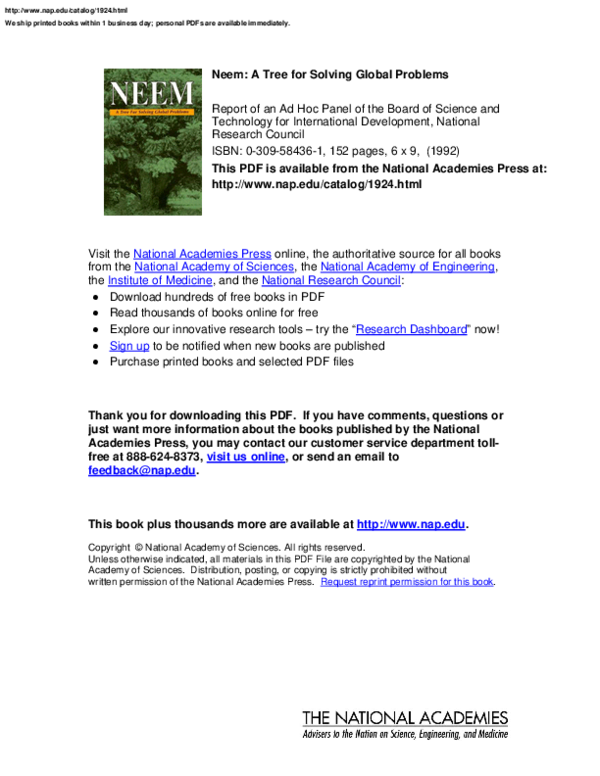 Neem plants image