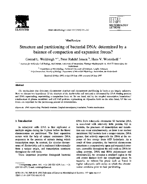 (PDF) Structure and partitioning of bacterial DNA: determined by a ...