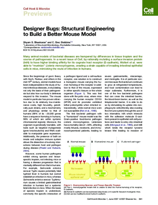 (PDF) Designer Bugs: Structural Engineering to Build a Better Mouse Model