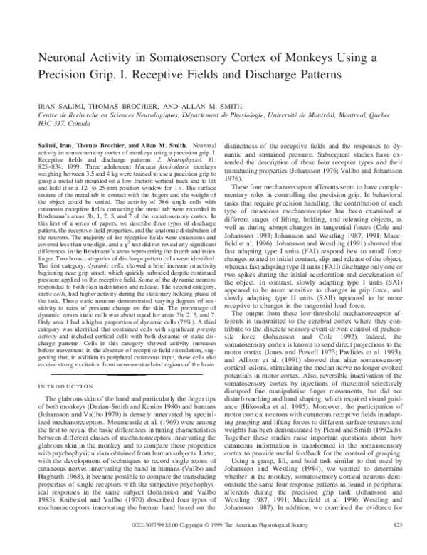 (PDF) Neuronal Activity in Somatosensory Cortex of Monkeys Using a ...