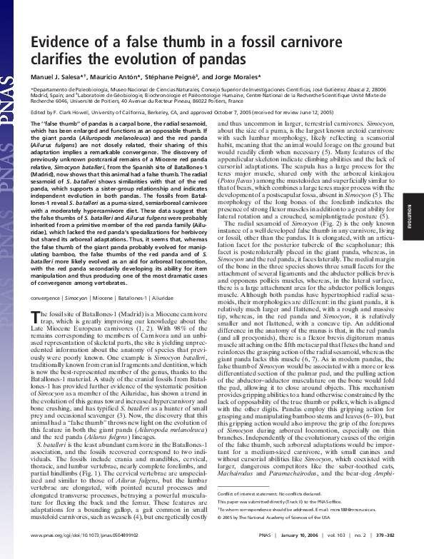 (PDF) Evidence of a False Thumb in a Fossil Carnivore Clarifies the ...