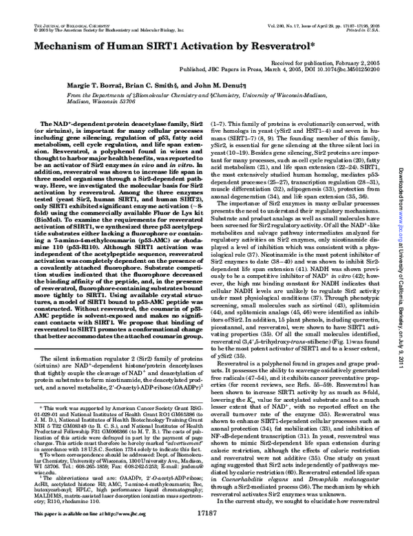 (PDF) Mechanism of human SIRT1 activation by resveratrol