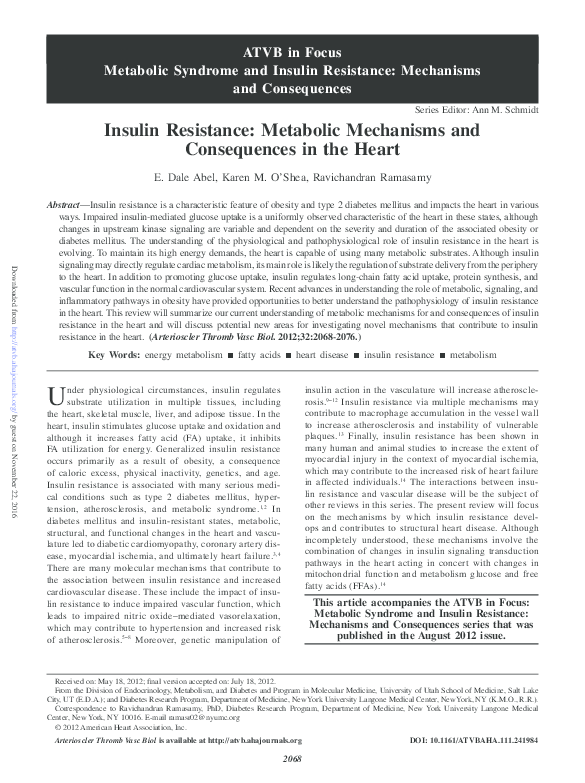 (PDF) Insulin Resistance: Metabolic Mechanisms and Consequences in the ...