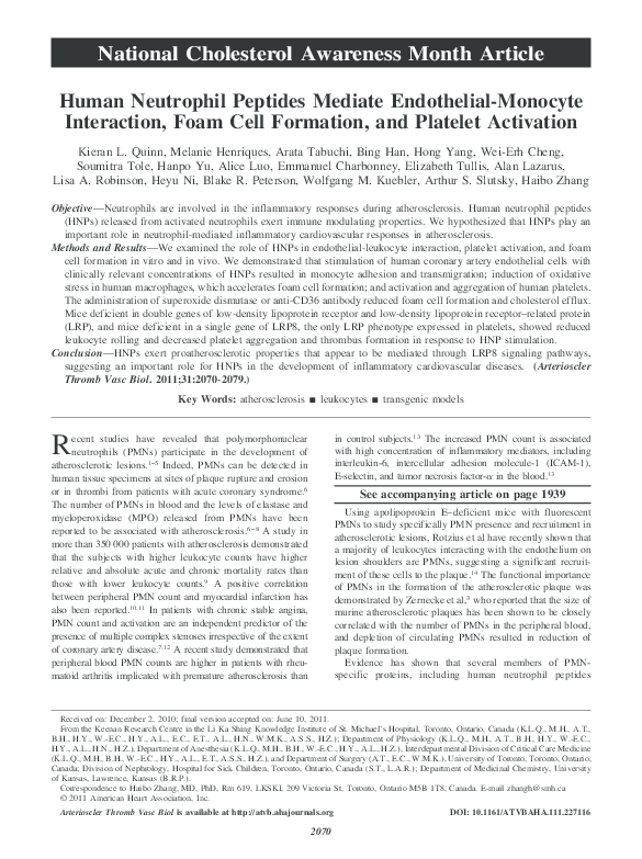 (PDF) Human Neutrophil Peptides Mediate EndothelialMonocyte