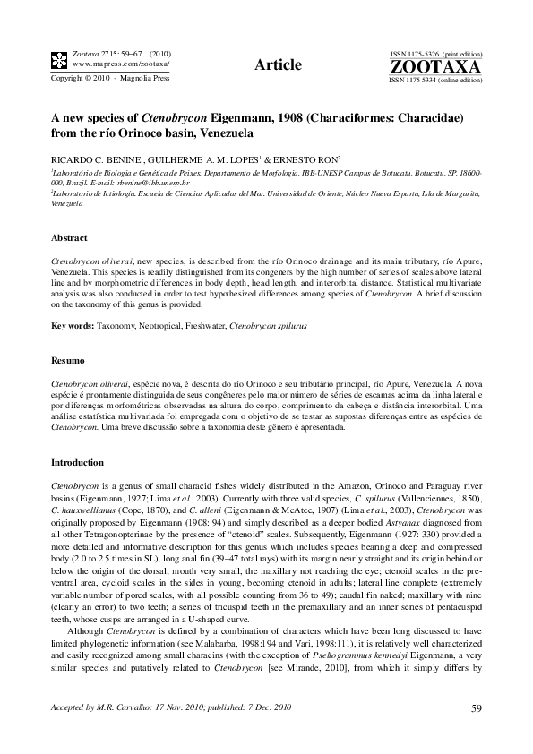 (PDF) A new species of Ctenobrycon Eigenmann, 1908 (Characiformes