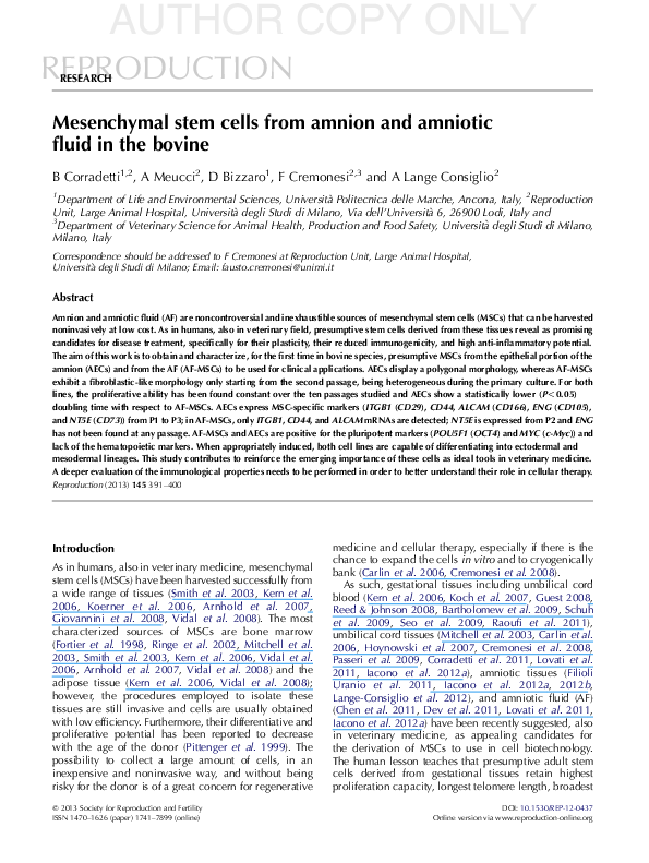 (PDF) Mesenchymal stem cells from amnion and amniotic fluid in bovine