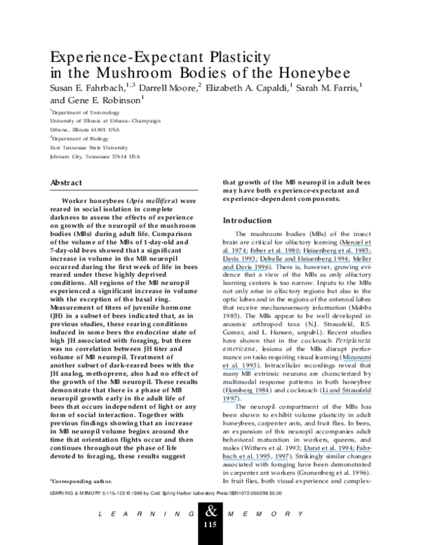 (PDF) Experience-expectant plasticity in the mushroom bodies of the