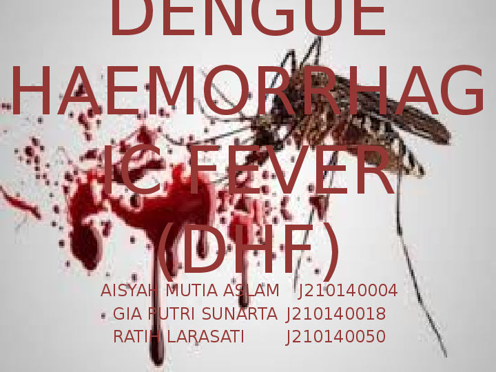 (PPT) ASUHAN KEPERAWATAN PADA ANAK DENGAN DHF (DENGUE HAEMORAGIC FEVER)
