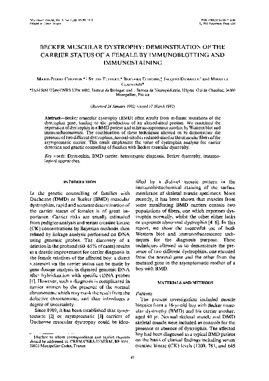 (PDF) Becker muscular dystrophy Demonstration of the carrier status of