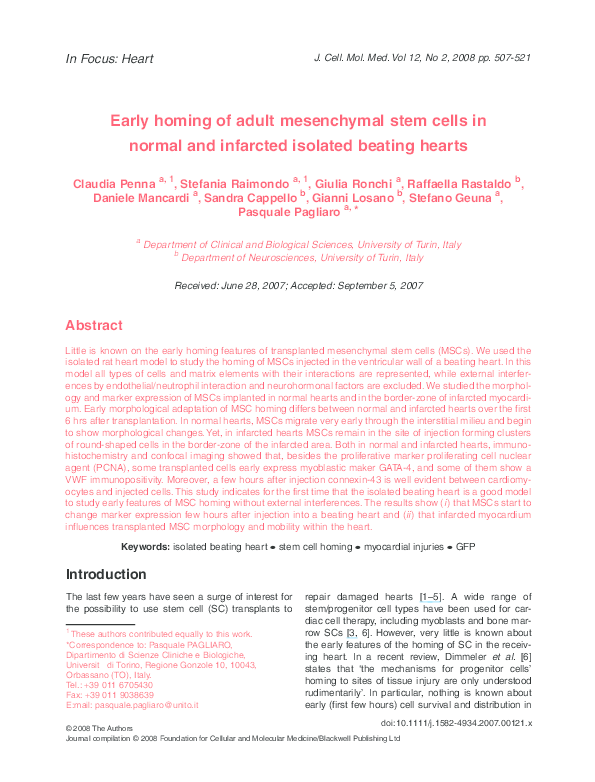 (PDF) Early homing of adult mesenchymal stem cells in normal and ...