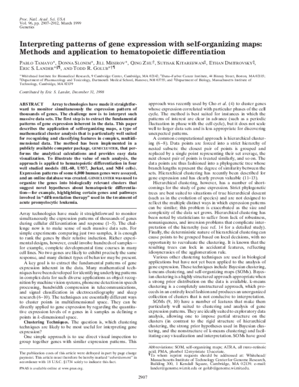 (PDF) Interpreting patterns of gene expression with self-organizing ...