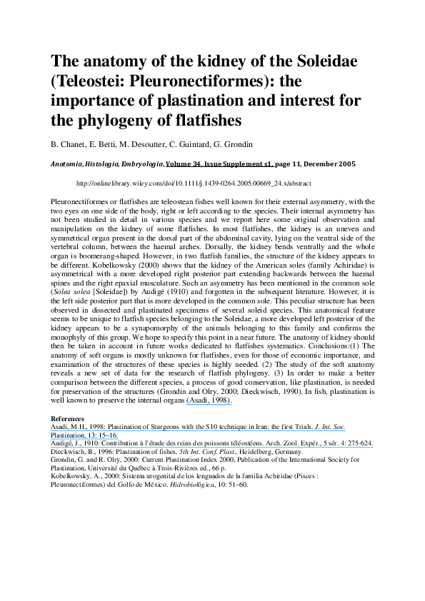 Essay on plastination image