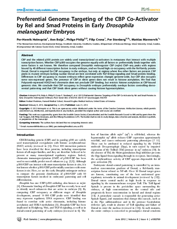 (PDF) Preferential Genome Targeting of the CBP Co-Activator by Rel and ...