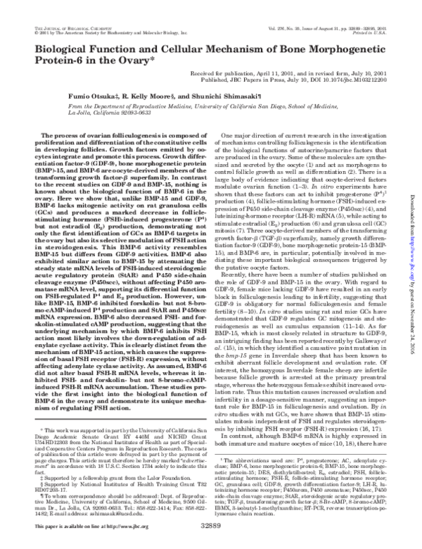 (PDF) Biological function and cellular mechanism of bone morphogenetic ...