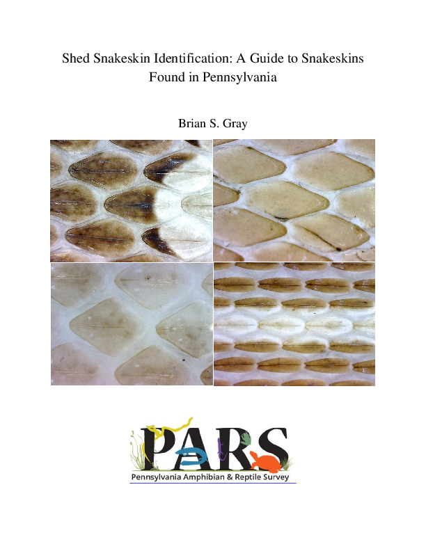 (PDF) Shed Snakeskin Identification: A Guide to Snakeskins Found in ...