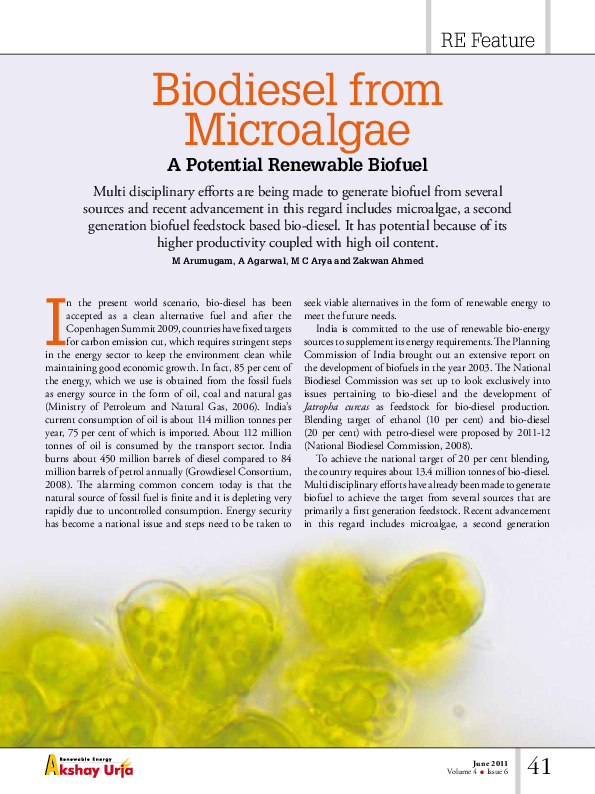Thesis on microalgae 08 image