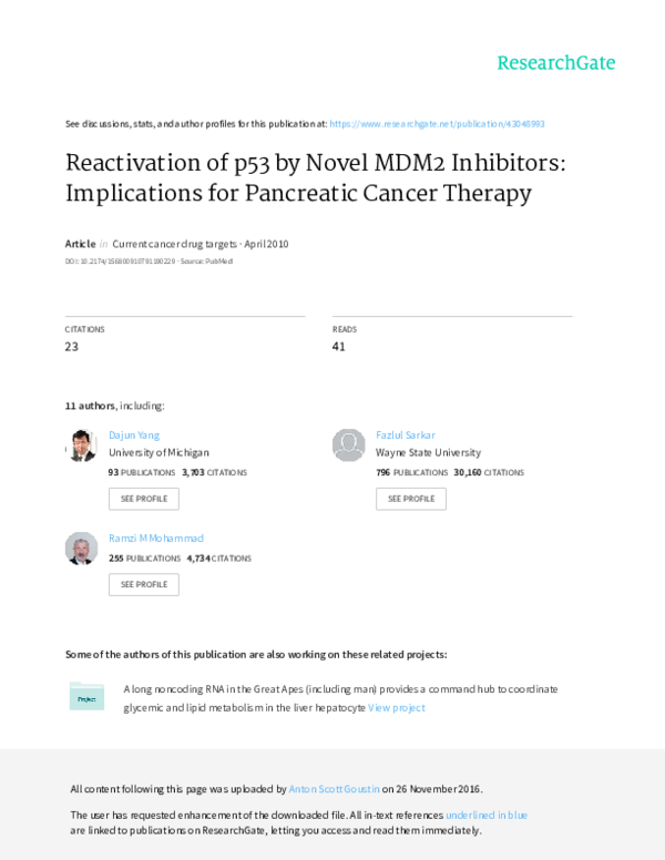 (PDF) Reactivation of p53 by novel MDM2 inhibitors: implications for ...