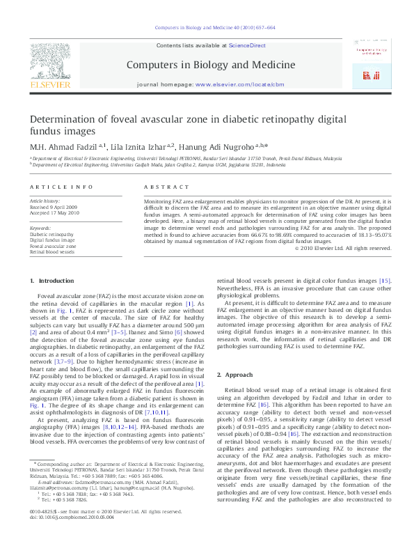 (PDF) Determination of foveal avascular zone in diabetic retinopathy ...