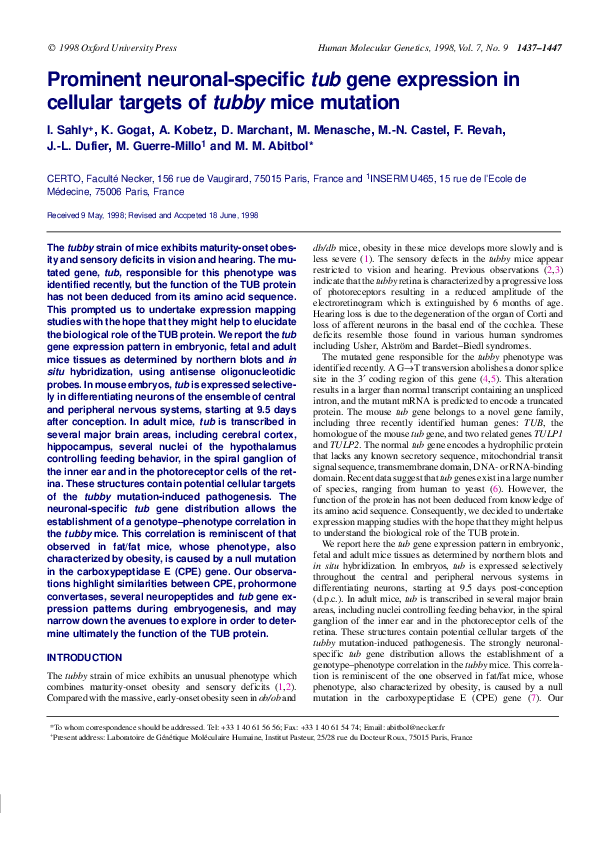 (PDF) Prominent neuronal-specific tub gene expression in cellular ...