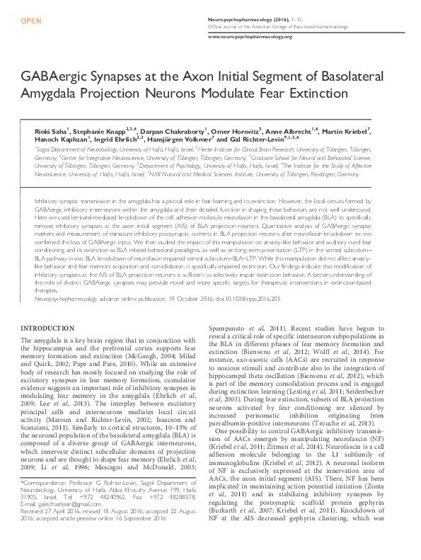 (PDF) GABAergic Synapses at the Axon Initial Segment of Basolateral ...