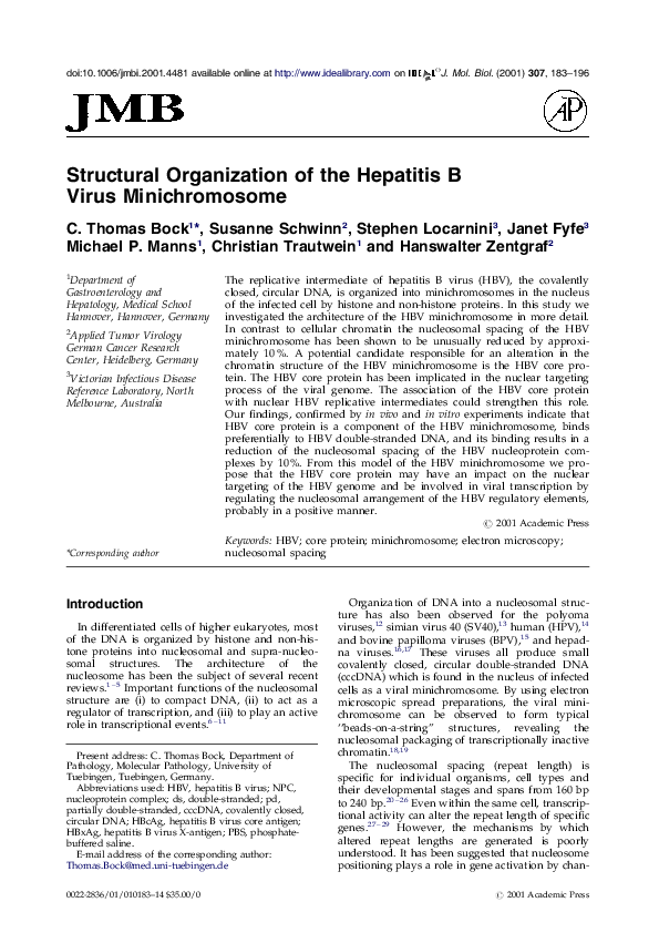Essay on minichromosome 05 image