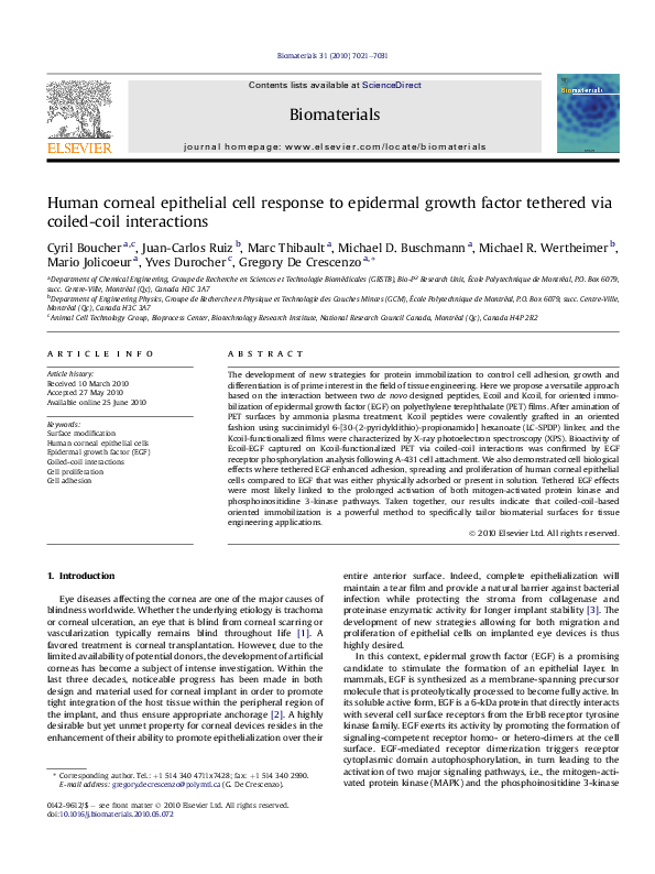 (PDF) Human corneal epithelial cell response to epidermal growth factor ...