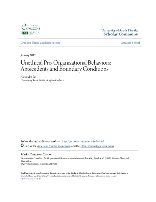 Usf dissertations image