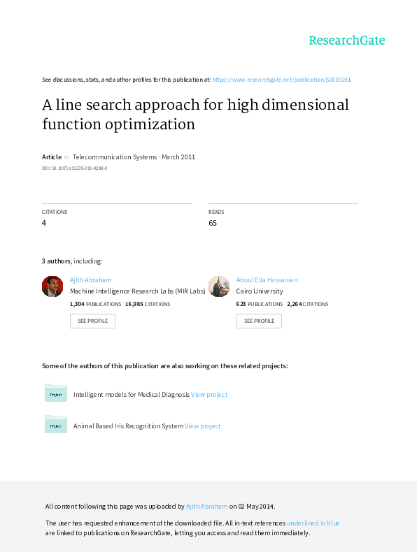 (PDF) A line search approach for high dimensional function optimization