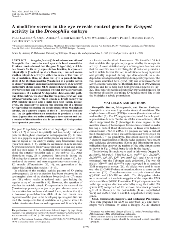 (PDF) A modifier screen in the eye reveals control genes for Kruppel ...