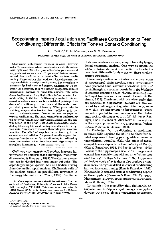 Scopolamine essay 06 image