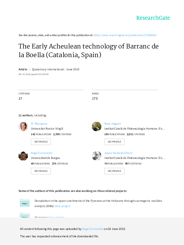 Acheulean technology essay 05 picture