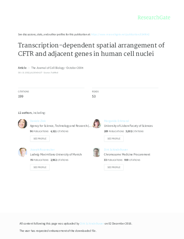 Human arrangements essay 05 picture