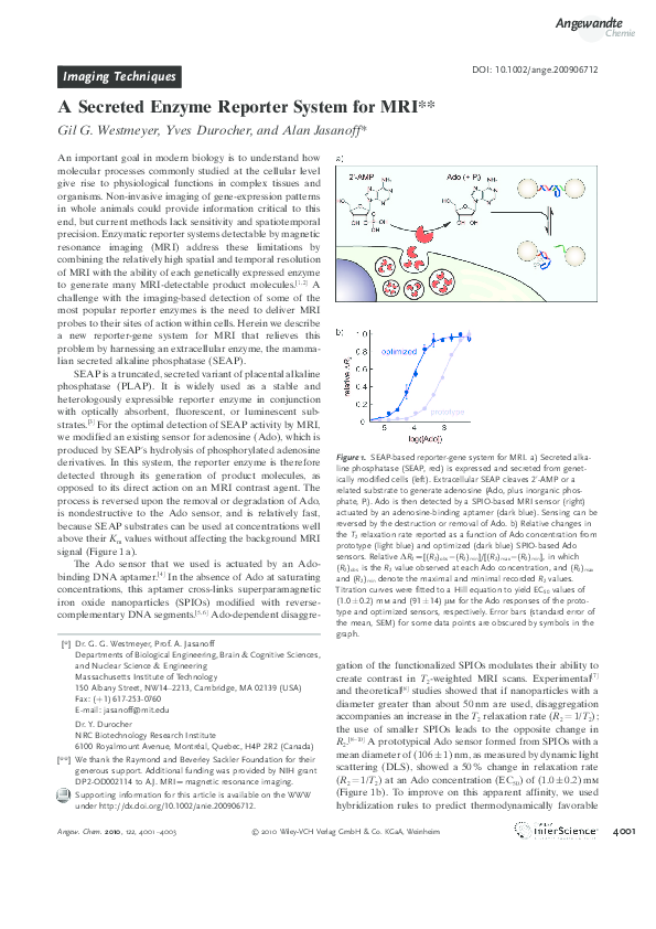 (PDF) A Secreted Enzyme Reporter System for MRI Yves Durocher