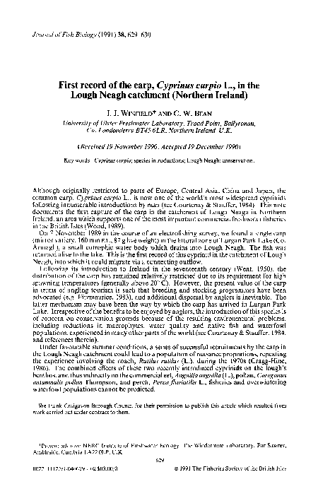 Synthesis essay example picture