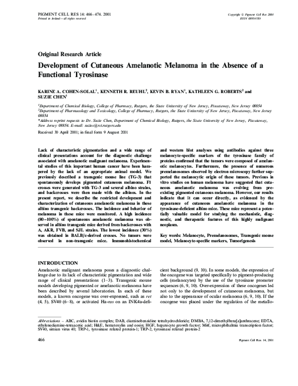 (PDF) Development of cutaneous amelanotic melanoma in the absence of a ...