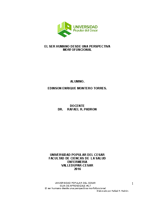 erección parcial del pene provoca 3