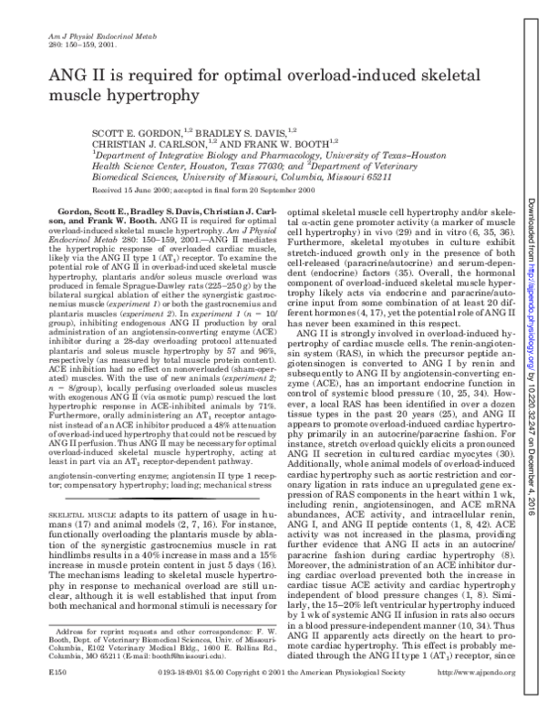 Hypertrophy of skeletal muscle picture