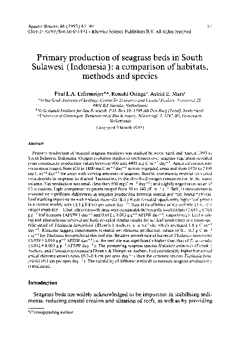 Importance of seagrass pdf picture