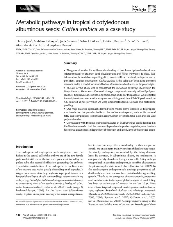 Arabica case study 03 image